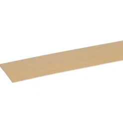 Meubelpanelen > Geen Afplakstrook 60,5x2,8cm Beuken 2 stuks