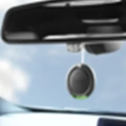 Interieuraccessoires > Axe 3D Hanging luchtverfrisser Africa