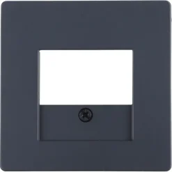 Afdekramen|Inbouw Schakelmateriaal > Berker Q1 Afdekplaat USB Antraciet