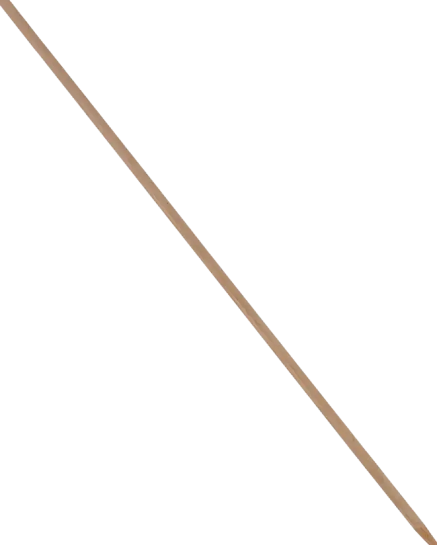 Bezems & Stelen|Schoonmaakartikelen > Talen Tools Bezemsteel hout 120 cm