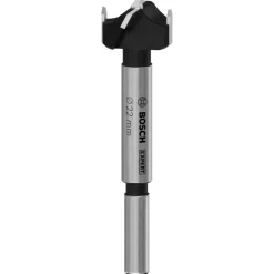 Boren En Borensets > Bosch Professional Bosch EXPERT Forstnerboor / scharnierboor Laminated Wood 22x60x90 mm