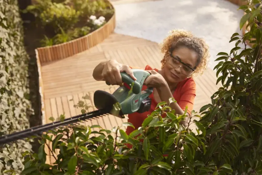 Heggenscharen > Bosch 18V heggenschaar EasyHedgeCut 45cm (Incl. 2.0Ah accu + lader)