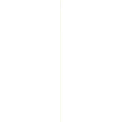 Vuren Geschaafd > Geen Bouwhout vuren geschaafd 7x44 mm 210 cm