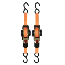 Aanhanger Accessoires > Carpoint Spanband Automatisch 3mtr 2 Stuks