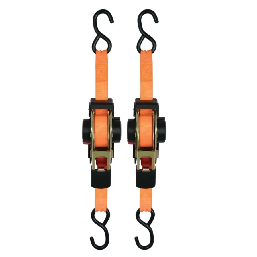 Aanhanger Accessoires > Carpoint Spanband Automatisch 3mtr 2 Stuks