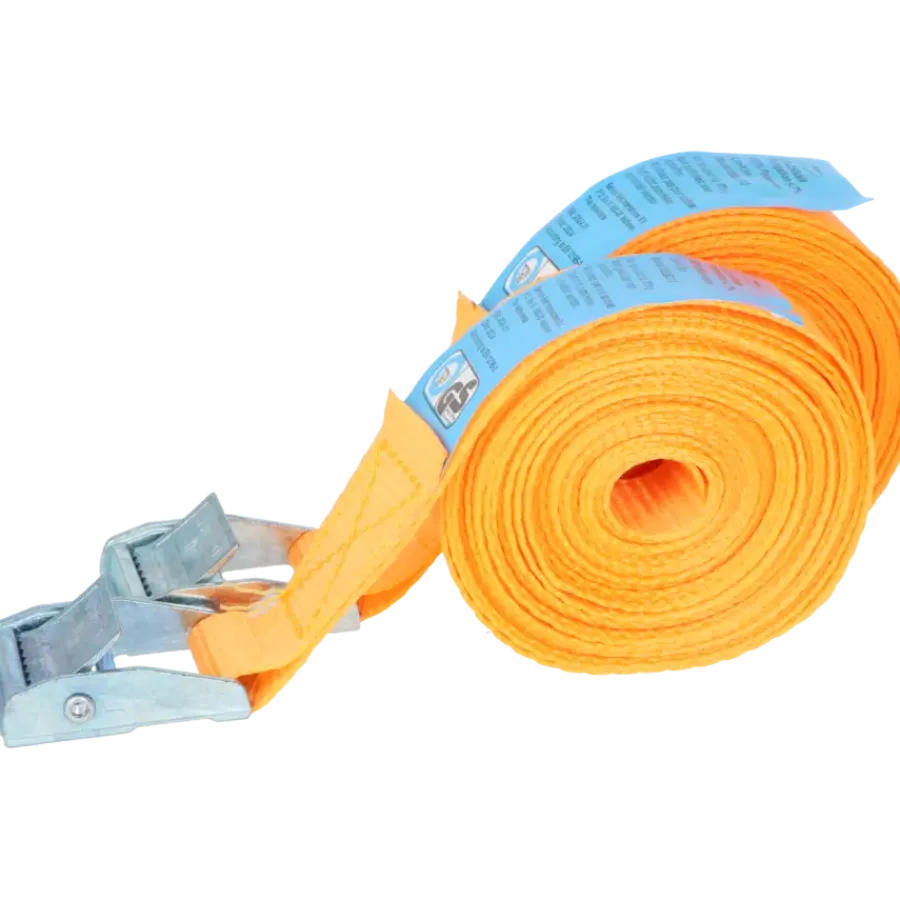 Aanhanger Accessoires > Carpoint Spanbanden 2 x 4,5 meter