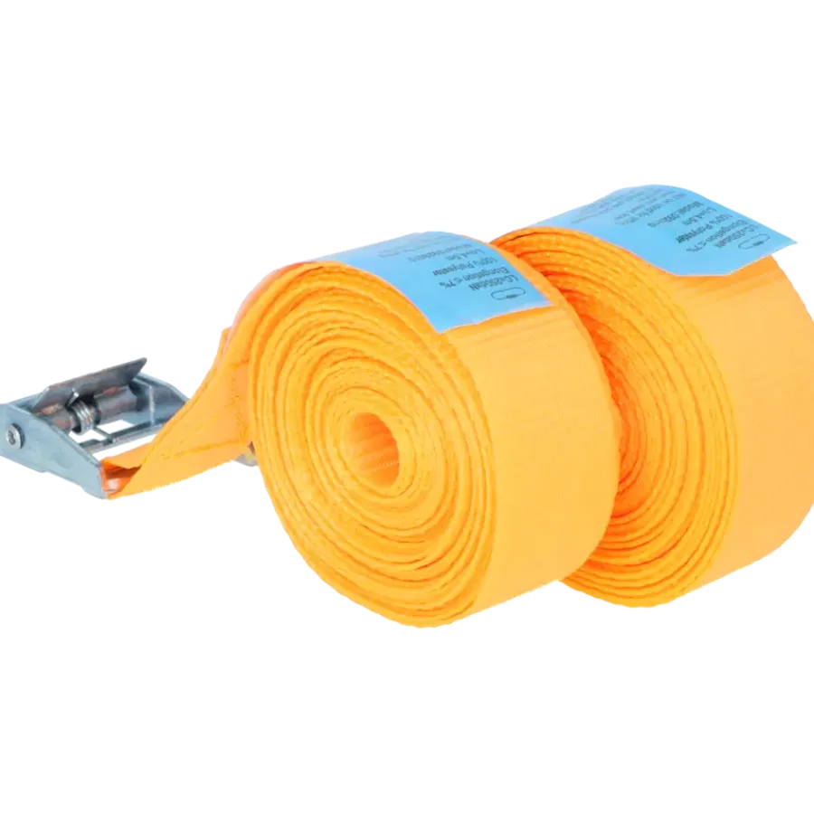 Aanhanger Accessoires > Carpoint Spanbanden 2 x 4,5 meter