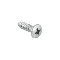 Carroserie schroef lenskop Verzinkt 4,8x25 mm 15 stuks