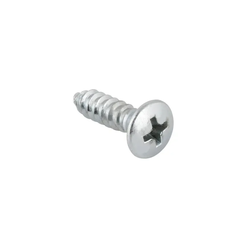 Carroserie schroef lenskop Verzinkt 4,8x25 mm 15 stuks