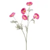 Cosmos spray roze 70cm