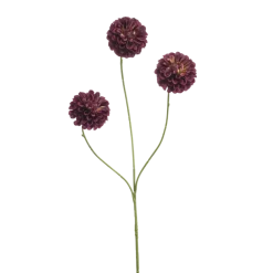 Dahlia pompom mini burgundy 68cm