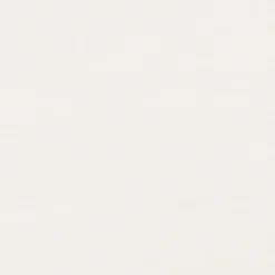 PVC Wandtegels & Panelen|Wandpanelen > Dumaplast Dumaclip wand- en plafondpaneel PVC essen wit 2.4m2, afm. 120 x 25 cm