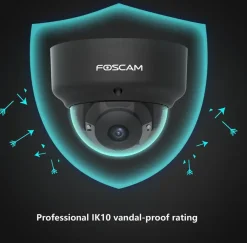 Elektronische Beveiliging > Foscam D2EP Zwart