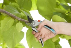 Snoeigereedschap > Gardena snoeischaar Comfort luxe