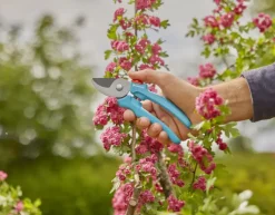 Snoeigereedschap > Gardena snoeischaar EasyCut