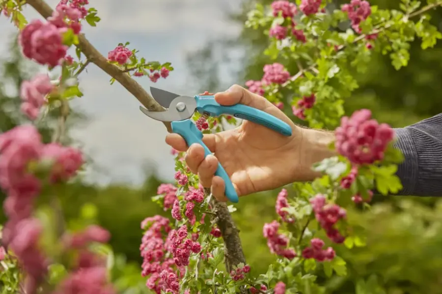Snoeigereedschap > Gardena snoeischaar EasyCut