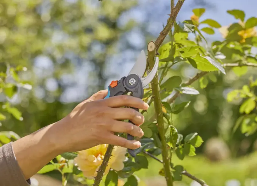 Snoeigereedschap > Gardena snoeischaar PremiumCut Flex - bypass - tuinsnoeischaar voor groen hout - 24 mm