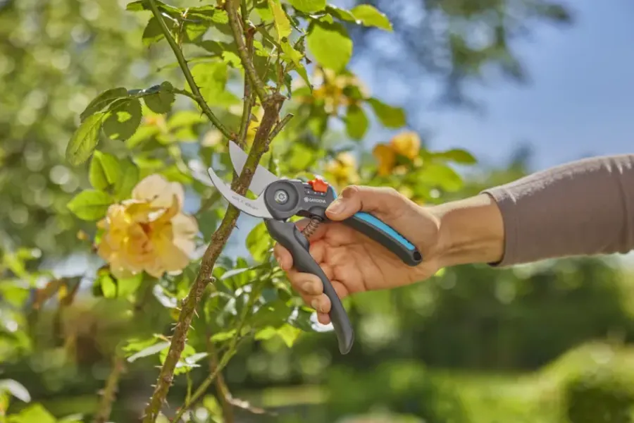 Snoeigereedschap > Gardena snoeischaar PremiumCut Flex - bypass - tuinsnoeischaar voor groen hout - 24 mm