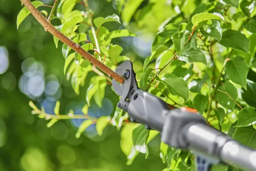 Snoeigereedschap > Gardena 18V telescopische takkenschaar 2,5m (P4A) Incl. 2.0Ah accu + lader