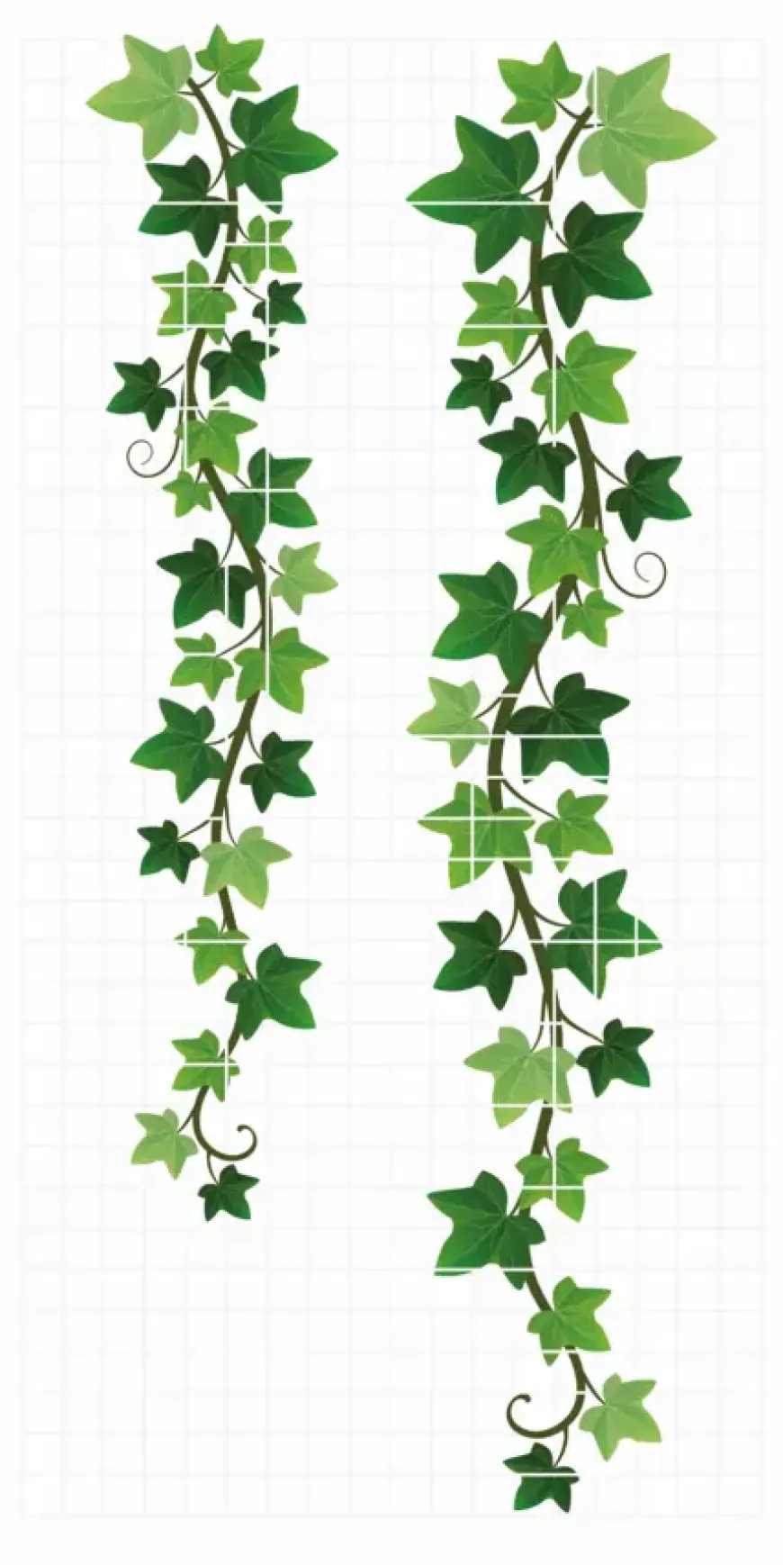 Giardino gaaspaneel Bari wit 180 x 90 cm