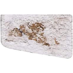 Houtenprofielen|Overgangsprofielen > Geen Glaslat hardhout 28x17 mm lengte 270 cm gegrond