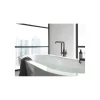 Grohe Colours Vrijstaande Badkraan Essence New Grafiet met Handdouche