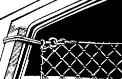 Interieuraccessoires > Carpoint Hondennet 130x87cm