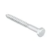 Houtdraadbout gegalvaniseerd M5x20 mm 3 stuks