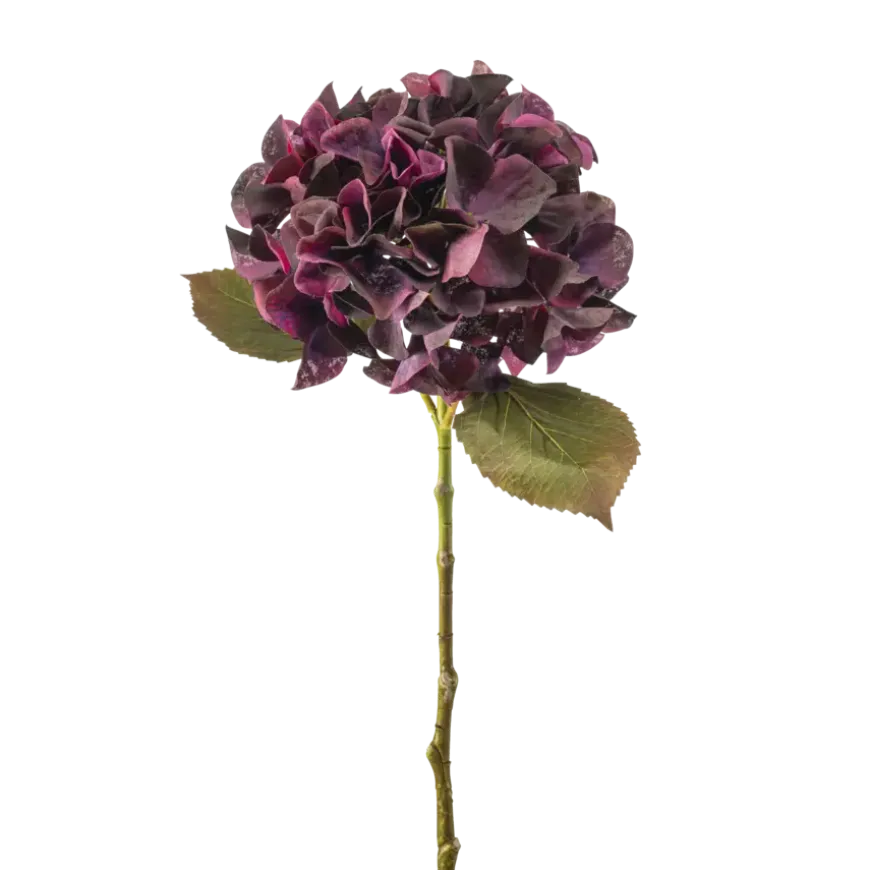 Hydrangea stem burgundy 47cm