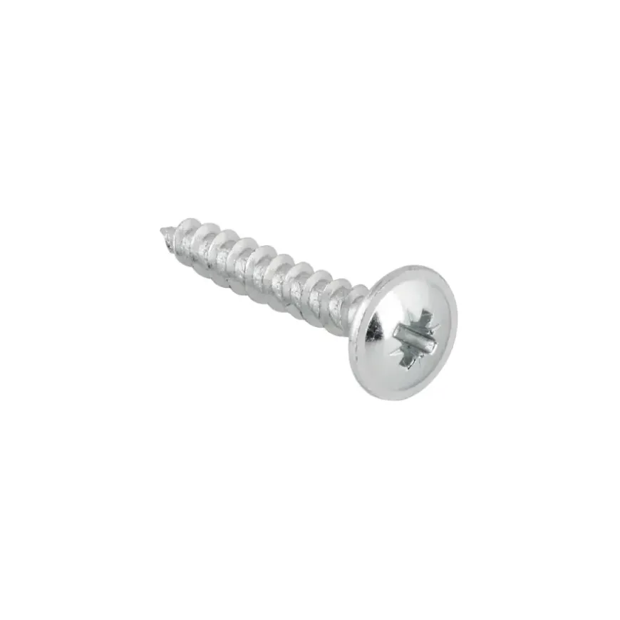KARWEI achterwandschroef 3x16 mm (15 stuks)