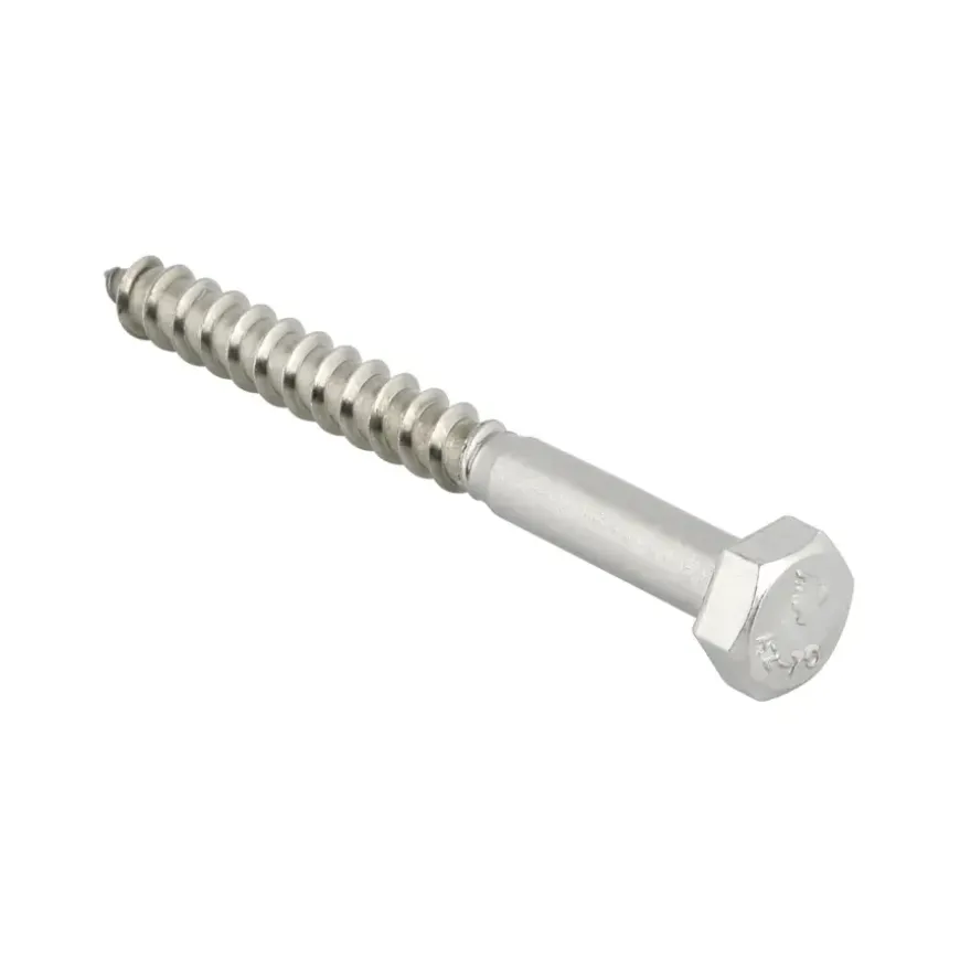 KARWEI houtdraadbout RVS M6x60 mm 15 stuks