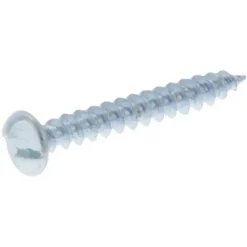 KARWEI Schroef anti-inbraak verzinkt 4,0x30 mm 12 stuks
