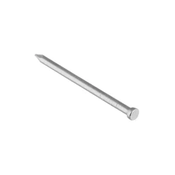 KARWEI spijker rvs 2,7x55 mm (30 stuks)