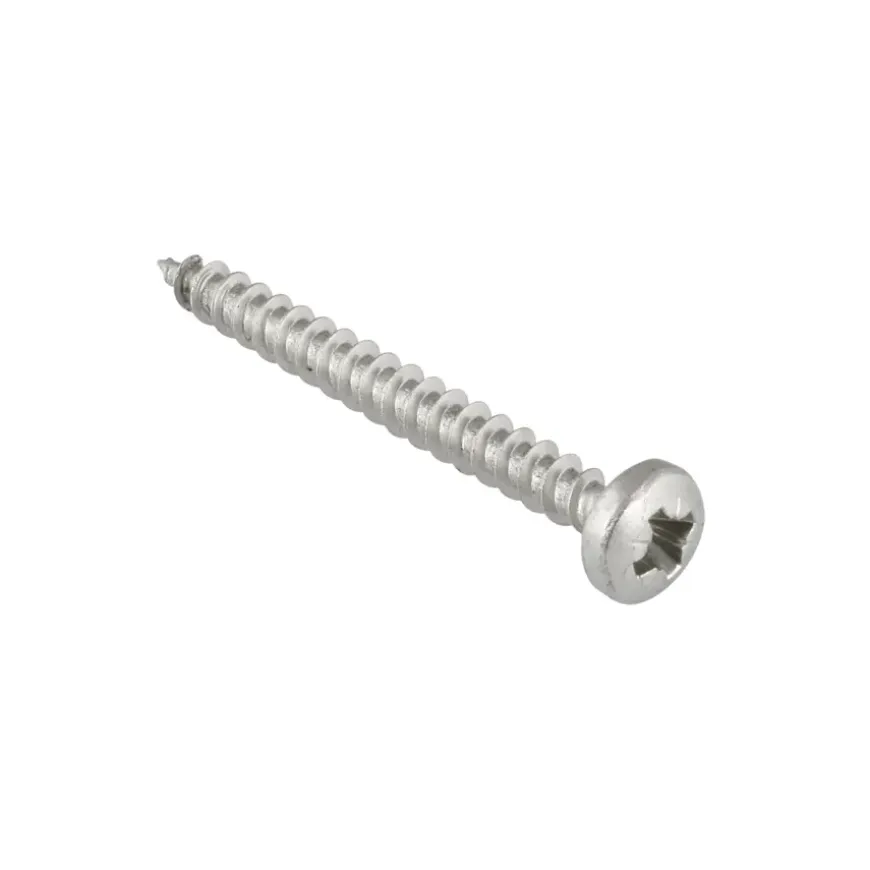 KARWEI unischroef cilinderkop rvs 4x30 mm (10 stuks)