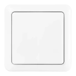 Draadloze Schakelaars|Schakelaars > KlikAanKlikUit draadloze wandschakelaar AWST-8899