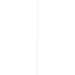 Houtenprofielen|Overgangsprofielen > Geen Koplat grenen gegrond 15x68 mm, lengte 270 cm