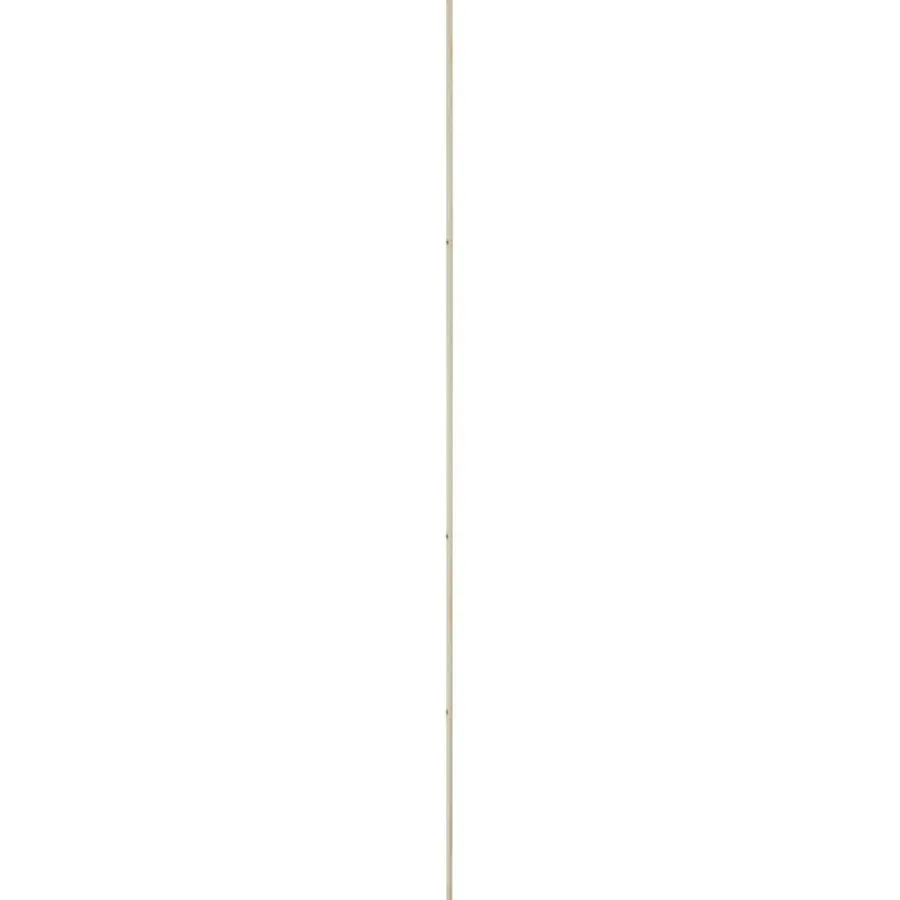 Houtenprofielen|Overgangsprofielen > Geen Lat grenen halfrond 12x29 mm lengte 270 cm