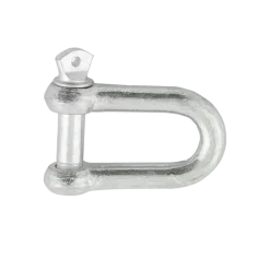 Ledent D-sluiting verzinkt 5 mm (2 stuks)