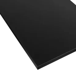 Meubelpanelen|Timmerpanelen > Geen Meubelpaneel zwart ABS 80x40 cm 18 mm
