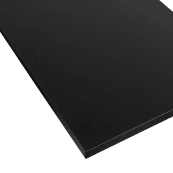 Meubelpanelen|Timmerpanelen > Geen Meubelpaneel zwart ABS 120x30 cm 18 mm
