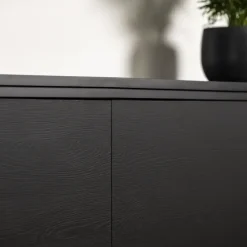 Meubelpanelen|Timmerpanelen > Geen Meubelpaneel zwart eiken ABS 80x40 cm 18 mm