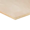 Constructieplaten|Alle Houten Platen > Geen Multiplex plaat hardhout voor binnen 122 x 61 cm 12 mm