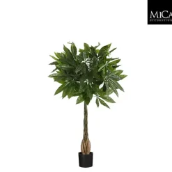Pachira in pot groen - h80xd60cm