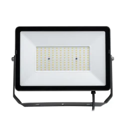 Werklampen > Philips breedstraler 4750 lumen 4000K 50W