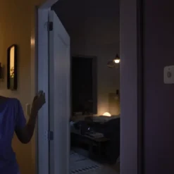 Elektronische Beveiliging|Sensoren > Philips Hue bewegingssensor
