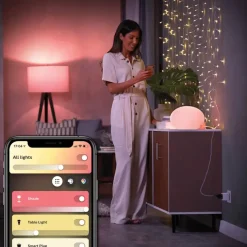 Stekkers|Schakelaars > Philips Hue slimme stekker EU