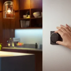 Dimmers|Opbouw Schakelmateriaal > Philips Hue Tap dial switch draaischakelaar zwart
