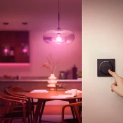 Dimmers|Opbouw Schakelmateriaal > Philips Hue Tap dial switch draaischakelaar zwart