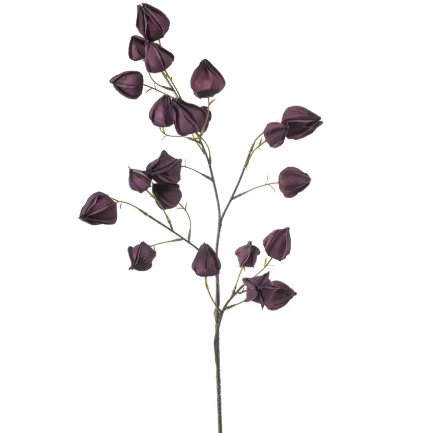 Physalis spray paars 90cm