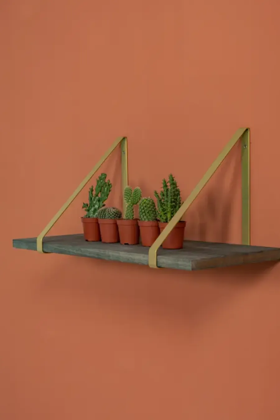 Plankdragers|Plankdragers > Duraline Plankdrager messing metaal 2 stuks